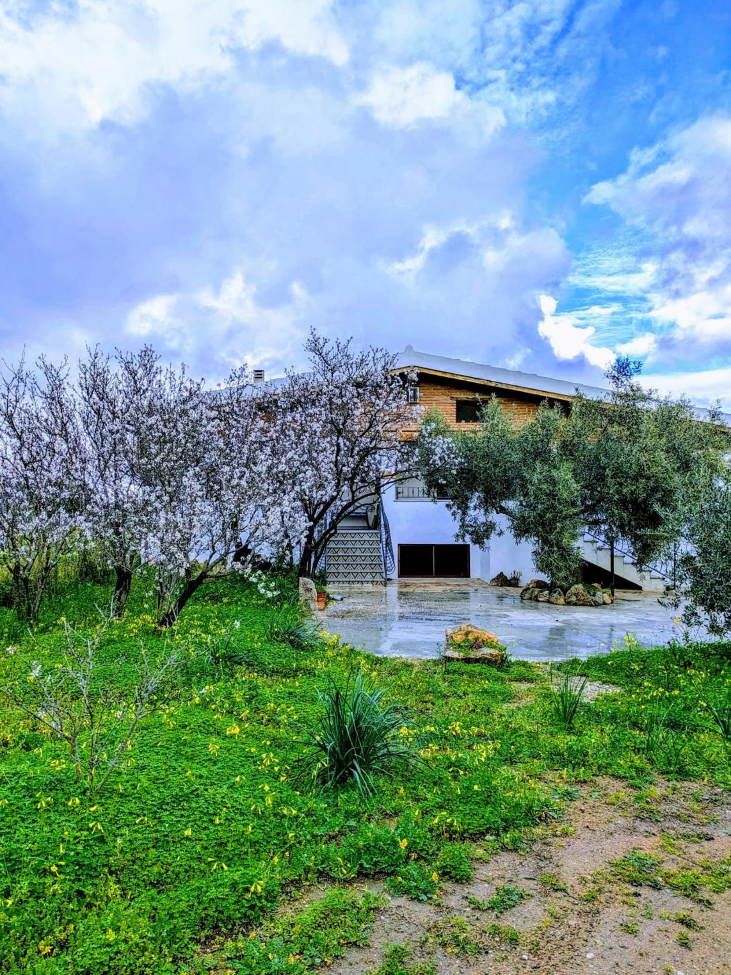 Agriturismo "Pirastreri" Siniscola Eksteriør bilde